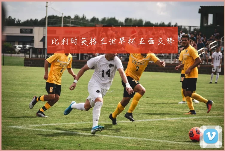 比利时英格兰世界杯正面交锋
