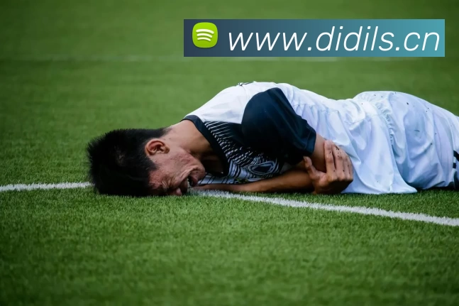 乐鱼官方端网站登录入口 - 乐鱼leyu(中国)平台生态图